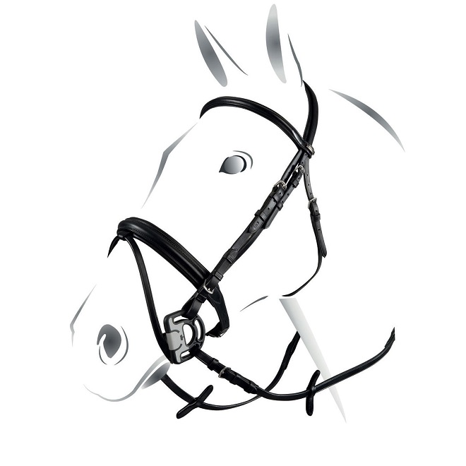 TESTIERA EQUESTRO BOMBE'* Testiera 